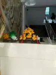 LIYang Hotel