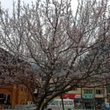 Zheng'an Gulou Hotel