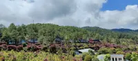 Shili Hongfeng Country Tourism Holiday Homestay