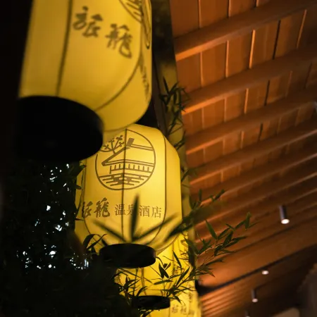 Lvlong Hotel-Shanghai Zhangjiang Branch Отели рядом с достопримечательностью «Пудун»