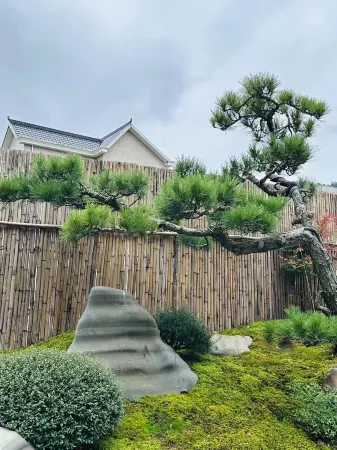 Yuancha Qingshe · Qingshi Culture Theme Homestay Отели рядом с достопримечательностью «China’s Kingdom of Root Carving»