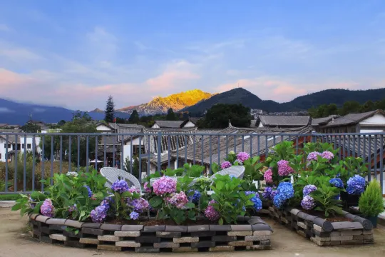 Snow Bamboo Hidden Homestay