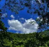 Wankelai Farm Stay (Tianchi Scenic Area) - غرفة مطلة على الجبل