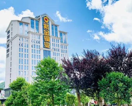 Zijin Tongye Hotel Hotels in Shanghang
