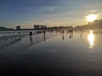 Dongshan Warm Sun Sea View Guesthouse - Beach