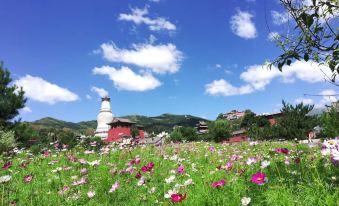 Wutaishan Chenyu Hotel (Wutaishan Branch)