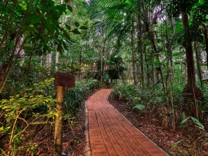 내로우스 이스케이프 레인포레스트 리트리트