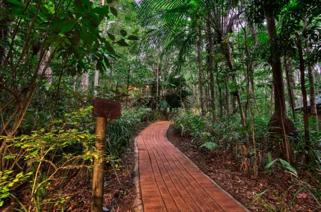 納羅斯熱帶雨林消遣度假村