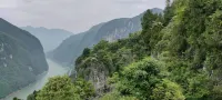 Bashi Inn