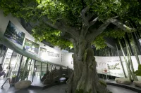 Yu Shui Hot Spring Hotel - Mountain view