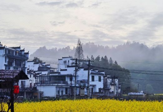 Homeward Bound InnHotel Overview