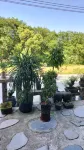 Chenwai Homestay  호텔