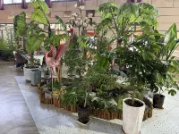 Qianfeng Grand Hotel (Huocheng Qingshuihe) Hotels near Ancient Huiyuan City