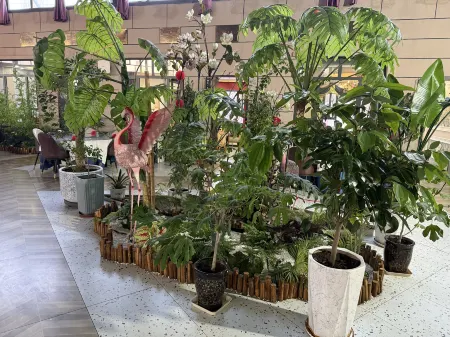 Qianfeng Grand Hotel (Huocheng Qingshuihe) Отели в г. Хочен