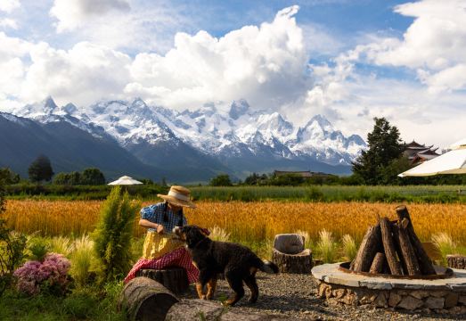 Mountain Spring garden