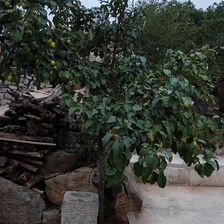 Shexian Hongshupo Homestay Отели в г. Шэсянь
