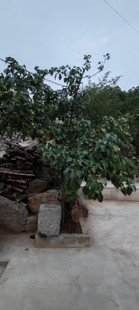 Shexian Hongshupo Homestay