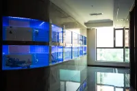 Yuerong Kingmax Hotel Hotels in Jiexiu