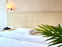 广州河源宾馆 - 标准大床房