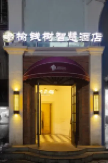 Yuqianshu Smart Hotel (Tianrun Plaza) - balcone
