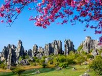 Bolin Hotel Hotels in Shilin Yi Autonomous County