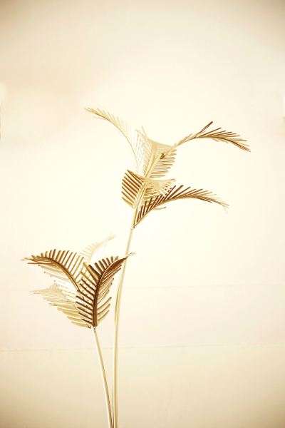 共有エリア ブリストル ホテル オパティアの写真