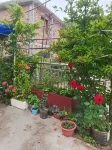 Maiji Mountain Qingya Courtyard Homestay (Maiji Mountain Scenic Area) - ห้องครัว