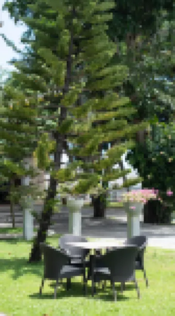 Dream Lagoon Hotels near Negombo Lagoon