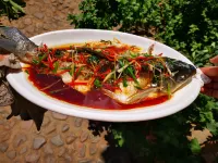 Zhuiqixi Zizai Nanshan Homestay