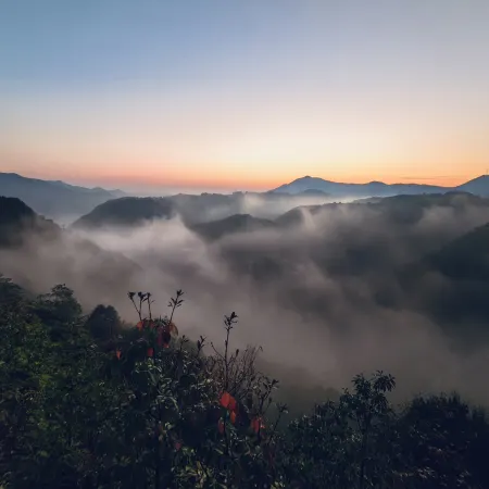 Qixin Valley (Scenic Spot Store)