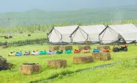 Ergun Enhe Tongjian Natural Camp