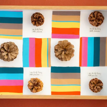 Xibo Farm No.1 Camp • Rural Life Experience
