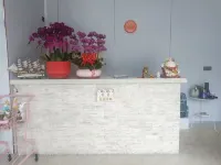 Shanhai Xuan Seaview Homestay (Shenzhen Guanhu Beach Branch) - ห้องครัว