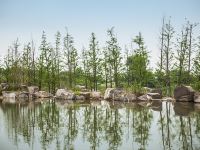 溧阳南山和园开元度假村 - 其他