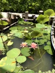 Wildland Resort Hotels in Hàm Ninh
