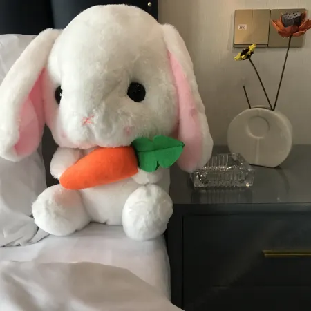 Xiaoyue B&B