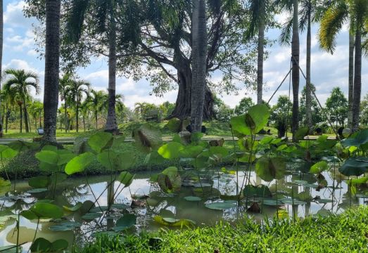 레 아무드 로리안트 자연 경관