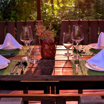 Ziyoujia · Tree house World