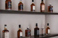 Fanyun Mountain Retreat · Designer Villa (Zhushengqiao, Ancient Town of Zhenyuan)