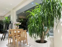 Mount Fanjing · About You Scenic Leisure Vacation Homestay (Zhaisha Dong Village)