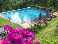 莫干山尚坡度假别墅 - 室外游泳池