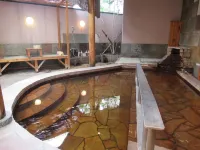 TENNEN ONSEN Tsurusaki Hotel - Hot Springs