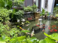 Zhouzhuang Shuimu Private Holiday House Hotels in der Nähe von Jiangnan Caizhuyou Shipside