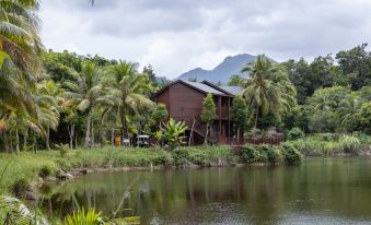 Small overseas Chinese coconut forest secret tent camp