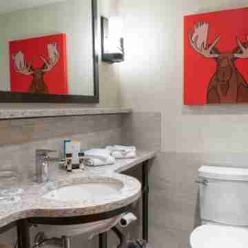 Moose Hotel and Suites Rooms