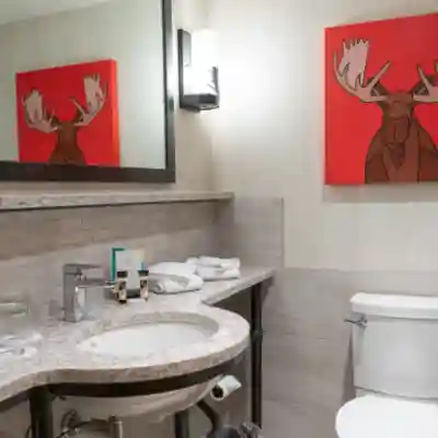 Moose Hotel and Suites Rooms