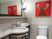 Moose Hotel and Suites Hotels in Banff