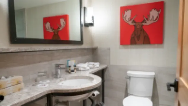 Moose Hotel and Suites