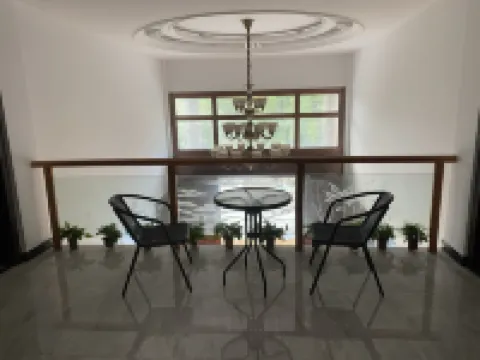 Chinese Fir Forest b&B