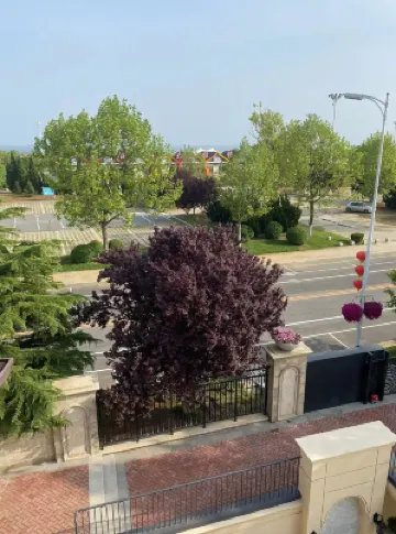 芝麻雲谷探索飯店（大連金石灘店） 飯店周邊 Photos